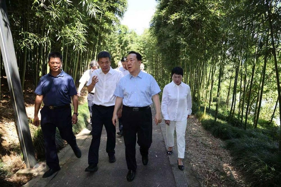 王浩在杭州專題調研生態(tài)環(huán)保工作...
